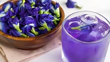 Medicina Tradicional Iraní-Islámica | Vanafshe (Violeta), una flor celestial para la paz y la salud