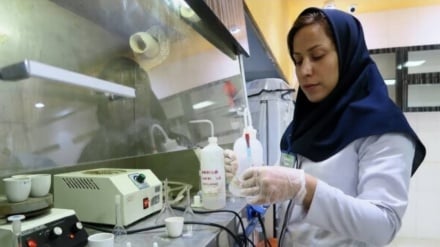 İran, Dünyada Rejeneratif Tıpta İlk 7 Güç Arasında