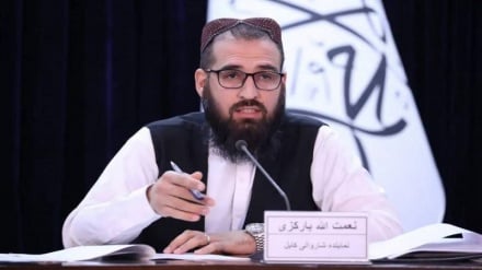 شهرداری کابل جریمه گران‌فروشان را رد کرد