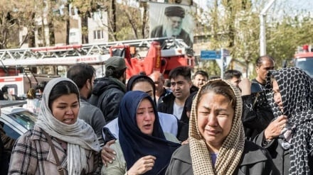 19 مهاجر افغانستانی در تجاوز اخیر به ایران جامه شهادت پوشیدند