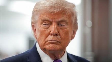 سیاستمدار آلمانی: حمله به زیرساخت‌های ایران جنایت جنگی است/  شرم بر آن‌ها که با دروغ به قدرت رسیدند