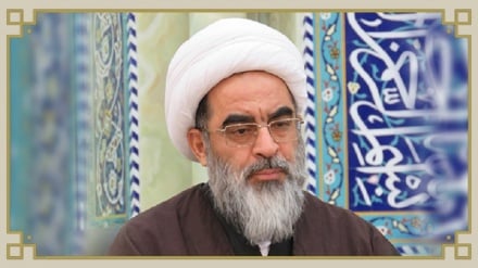 بیانیه آیت‌الله فاضل لنکرانی درباره واکنش به موضع اخیر الازهر مصر 