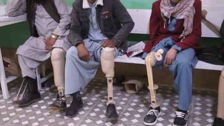 زندگی در سایه فراموشی؛ روایت تلخ معلولان در هرات