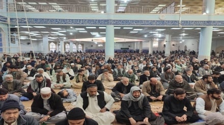 طنین شعارهای ضد آمریکایی و ضد اسرائیلی در روز جهانی قدس در هرات