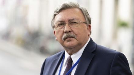 Moskova, Buşehr Nükleer Santrali’ne yönelik saldırıya karşı Uluslararası Atom Enerjisi Ajansı’nın tepkisine itiraz