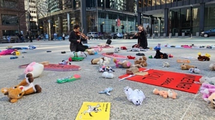 نوای مظلومیت کودکان میناب ایران در آمریکا طنین‌‌انداز شد