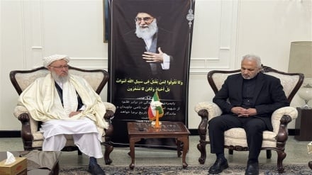 حضور مولوی حنفی در سفارت ایران و اعلام همبستگی افغانستان با ملت و دولت ایران