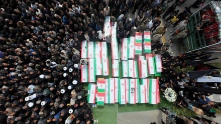 АҚШлик сенаторлар: Вашингтон ҳукуматини Минобдаги жиноятда жавобгар бўлганидан даҳшатга тушганмиз