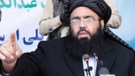 وزیر حکومت طالبان افغانستان: سکوت کشورهای اسلامی در برابر تهاجم آمریکا و اسرائیل به ایران پذیرفتنی نیست