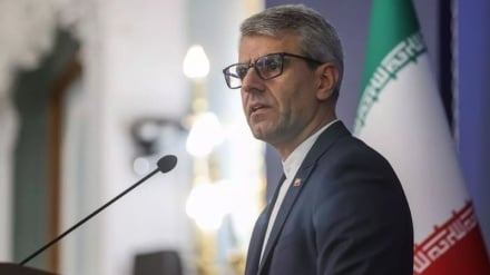 Baqaei: «Dissociarsi dalla guerra è il minimo per ogni cittadino americano»