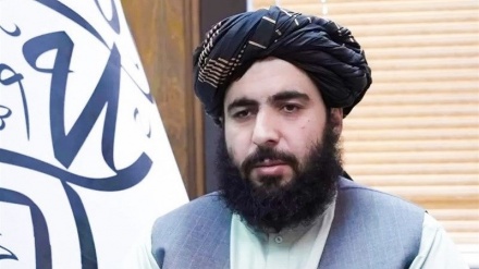 طالبان: موارد نقض آتش‌بس توسط پاکستان ادامه دارد