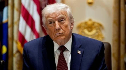 Французский политолог: Трамп действует как гангстер, а не как президент