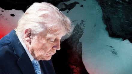 Палестинский автор: Трамп, продлевая срок перемирия с Ираном, убегает от «военного самоубийства»