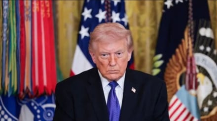 Wall Street Journal: Trump, kayıp korkusuyla Hark Adası planından vazgeçti‌