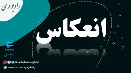 نقش مردم در جمهوری اسلامی ایران 