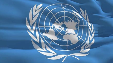 PBB: Lebih dari 38 Ribu Wanita dan Anak Perempuan Gugur di Gaza