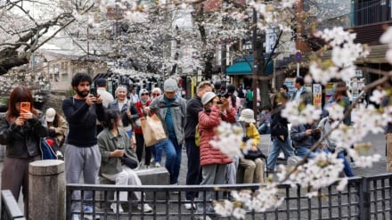 Dampak Perang Iran terhadap Ekonomi Asia; Pariwisata Jepang Terpukul