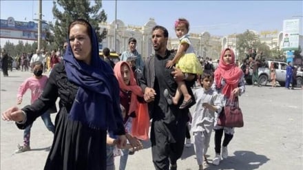 اخراج سه تبعه افغان از لهستان با وجود مخالفت نهادهای حقوق بشری