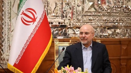 তোমরা লড়াই করলে, আমরাও তোমাদের বিরুদ্ধে লড়াই করব: ট্রাম্পকে কলিবফের সাফ কথা