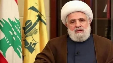 Шейх Наим Касим: Оружие Сопротивления для защиты существования Ливана