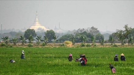 BM’den Hürmüz Boğazı’ndaki ABD Eylemleri Nedeniyle Küresel Gıda Krizi Uyarısı / Norveç Maliye Bakanı: Bu Boğazdaki Kriz Dünya Ekonomisi İçin Kötü