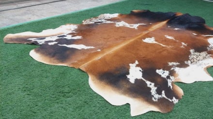 تغییر مسیر صادرات پوست و فرصت طلایی برای صنعت چرم در هرات