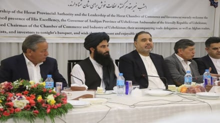افزایش تعاملات اقتصادی افغانستان و ازبکستان؛ چشم‌انداز تازه برای تجارت و سرمایه‌گذاری منطقه‌ای