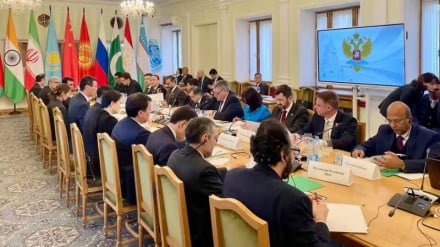 تأکید سازمان همکاری شانگهای بر افغانستانِ مستقل و عاری از جنگ و تروریسم