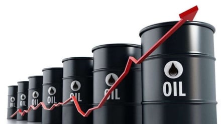 Precios mundiales del petróleo suben a 110 dólares / España: El problema con Irán debe resolverse mediante la diplomacia y la negociación