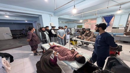 تیراندازی افراد ناشناس به غیرنظامیان در ولایت هرات