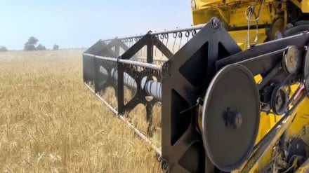 Se ha multiplicado por cinco la producción agrícola de Irán desde el inicio de la victoria de la Revolución Islámica