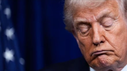 Trump'ın Düşüşü