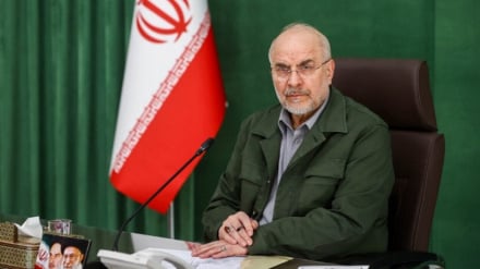 Калибаф: цифровые цены на нефть и долговые бумаги — это финансовый пузырь