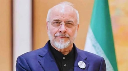 قالیباف:کلابندۍ سره، به د هرمز سمندري اوبلاره خلاصه نشي