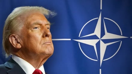 Trump: Po e shqyrtoj seriozisht tërheqjen nga NATO/Franca: Nuk është puna jonë të ndërhyjmë në Ngushticën e Hormuzit