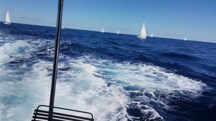 Rezim Zionis Sita 7 kapal dari Armada Sumud di Perairan Internasional