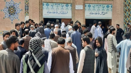 هرات در سوگ؛ وحدتی که در میان اشک‌ها معنا یافت