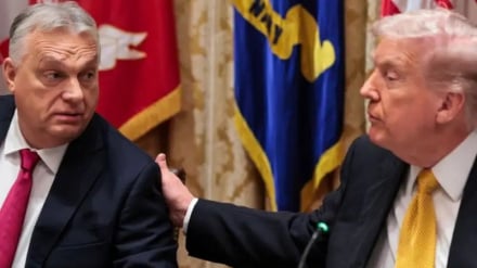 ইউরোপে রাজনৈতিক ভূমিকম্প; ট্রাম্পের মিত্রদের একে একে পতন ঘটছে