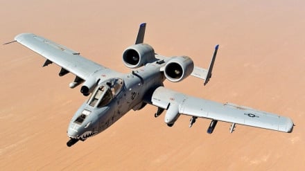US-Kampfjet A-10 nahe der Straße von Hormus abgeschossen
