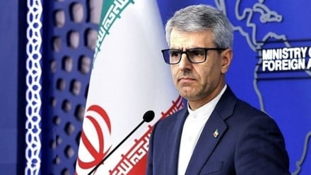 Бакаи: Оскорбление Папы является нападением на требование мира и справедливости