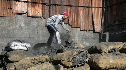 Guardian. Իրանի դեմ պատերազմը աշխարհն ածխից ավելի մեծ կախվածության մեջ կդնի 