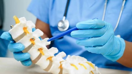 Investigadores iraníes crean hidrogel inyectable autorreparable para el tratamiento de la degeneración discal