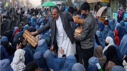 مجله اقتصادی، ابراز نگرانی نهادهای سازمان ملل متحد از گسترش فقر و سوء تغذیه در افغانستان 25 02 1405