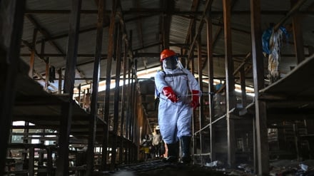 MSF yaonya: Mlipuko wa Ebola DR Congo ni wa kutisha sana