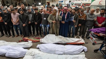 Jumlah Syuhada Gaza Meningkat Menjadi 72.769 Orang