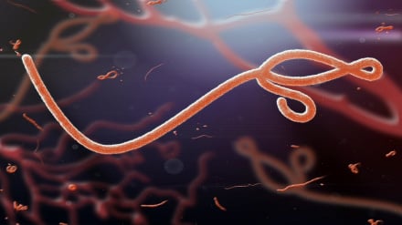 Ebola yaibuka tena nchini DRC, WHO yaimarisha hatua za kukabiliana na mlipuko