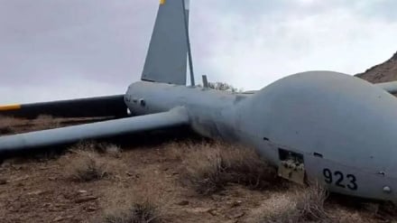 Иранская армия: Уничтожен вражеский беспилотник