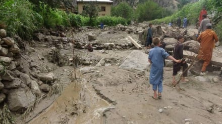 نورستان کې ورستیو ورښتونو او ږلۍ ځایي خلکو ته درانه مالي زیانونه اړولي دي