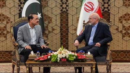 Qalibaf: We will not compromise the rights of the Iranian nation