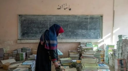 طرح وزارت معارف برای تغییر در نظام آموزشی و سپردن بست‌های معلمی زنان به مردان